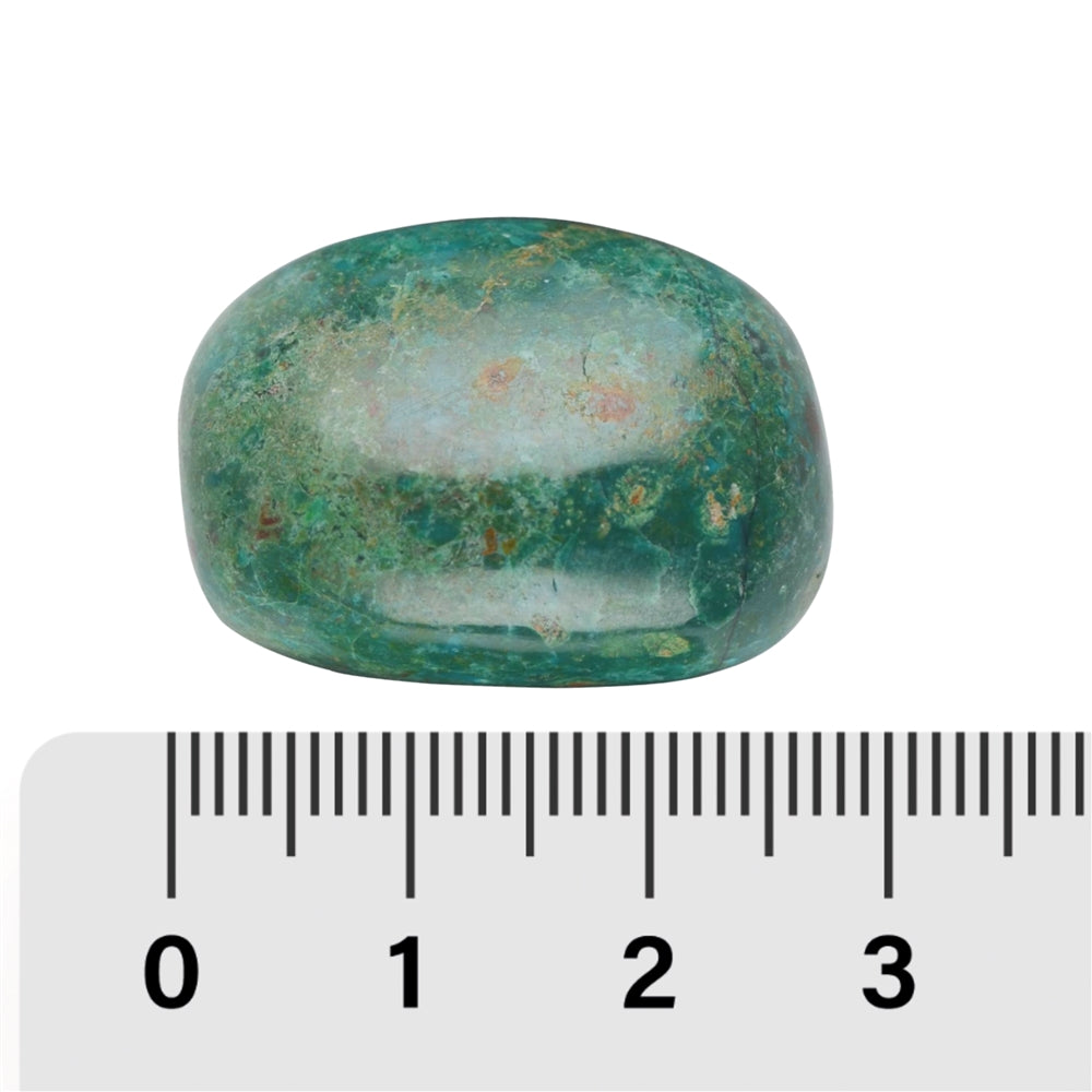 Chrysocoll (stab.)- A Qualität - Trommelstein - Größe 2 - 3,5 cm